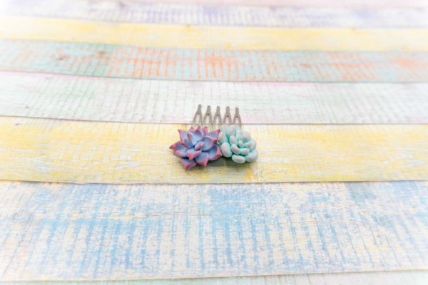 sukkulenten-haarschmuck-pastellfarben-polymer-clay-kreativ-mit-betty