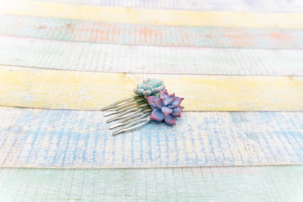sukkulenten-haarschmuck-pastellfarben-polymer-clay-kreativ-mit-betty