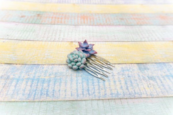 sukkulenten-haarschmuck-pastellfarben-polymer-clay-kreativ-mit-betty