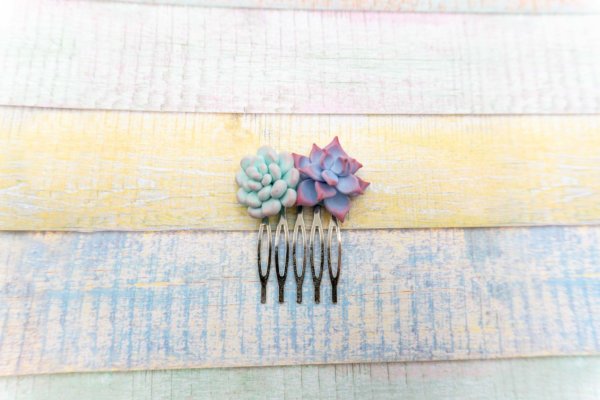 sukkulenten-haarschmuck-pastellfarben-polymer-clay-kreativ-mit-betty
