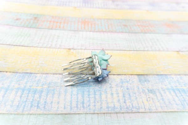 sukkulenten-haarschmuck-pastellfarben-polymer-clay