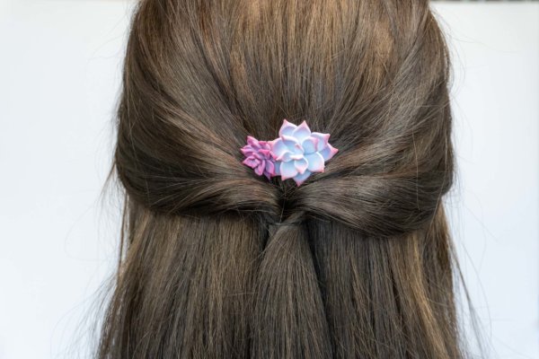 sukkulenten-haarschmuck-pastellfarben-polymer-clay